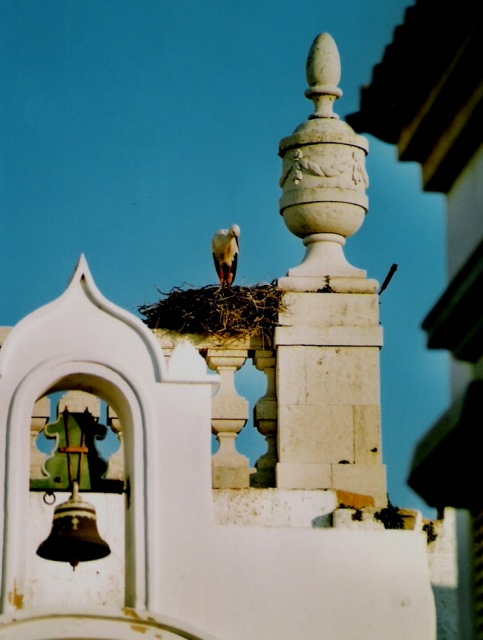 _l̎g@in Portugal Faro