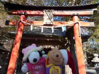 �|�[�N�P�R