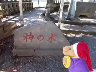 �|�[�N�P�T