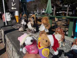 �|�[�N�S�R