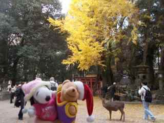 �|�[�N�P�O