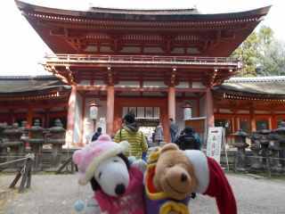 �|�[�N�P�P