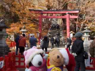 �|�[�N�R�Q