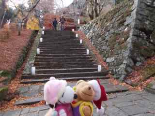 �|�[�N�R�T