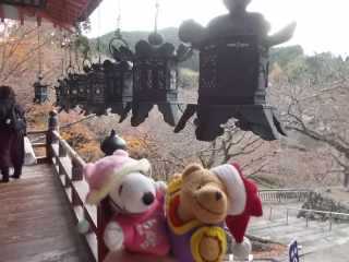 �|�[�N�S�Q