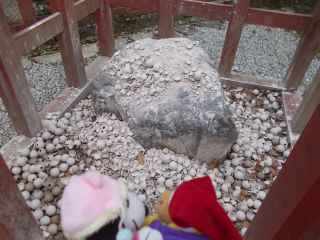 �|�[�N�S�U