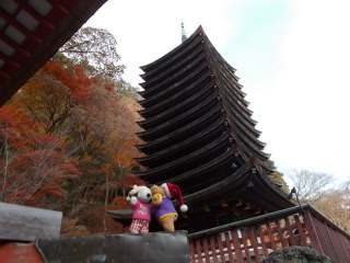 �|�[�N�T�O