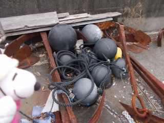 �|�[�N�P�S