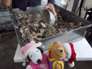 �|�[�N�Q�T