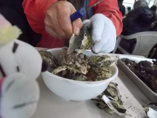 �|�[�N�Q�W