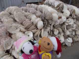 �|�[�N�R�P