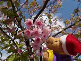 �|�[�N�Q�O