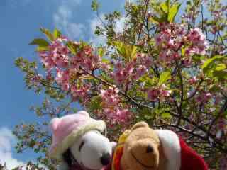 �|�[�N�Q�P